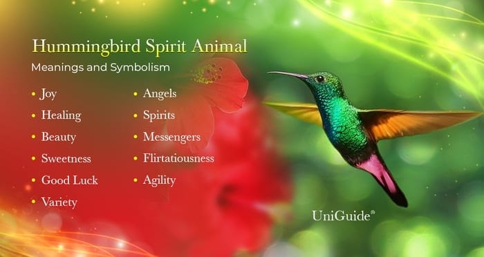 Hummingbird Meaning &amp; Symbolism &amp; Hummingbird Spirit Animal