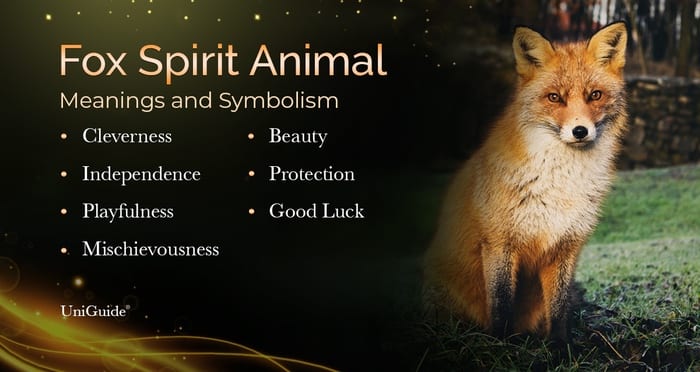 Fox Symbolism and Meaning &amp; the Fox Spirit Animal | UniGuide