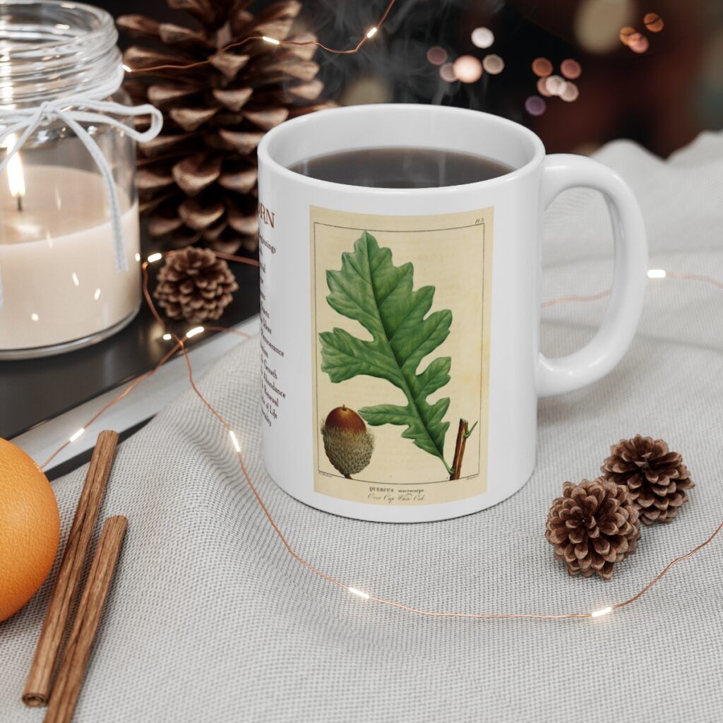 Acorn Mug