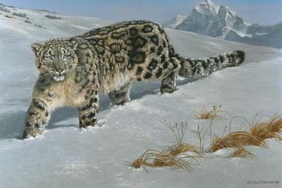 Snow Leopard in Snow Giclee Art Print