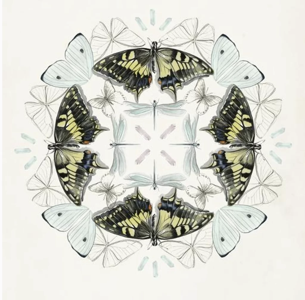 Black & Yellow, White, and Light Blue Butterfly Mandala Art Print