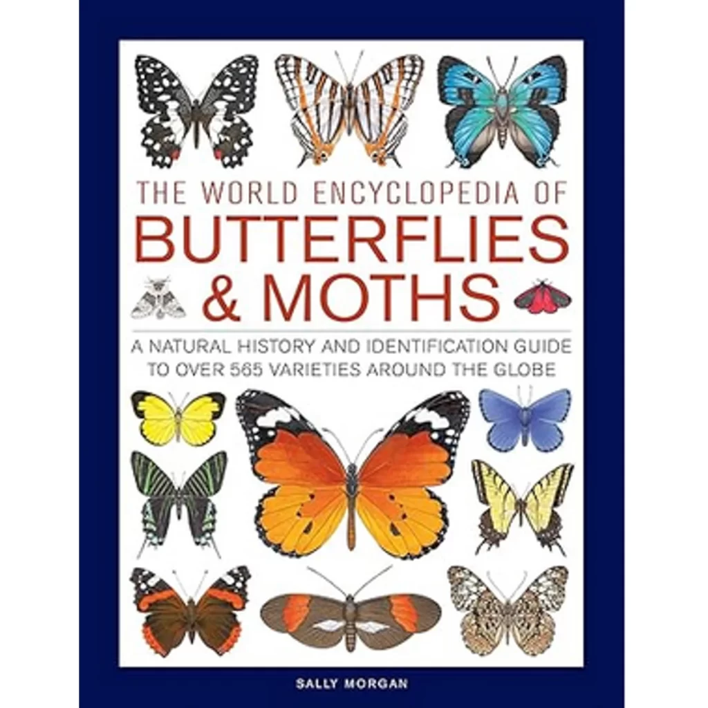 World Encyclopedia of Butterflies & Moths